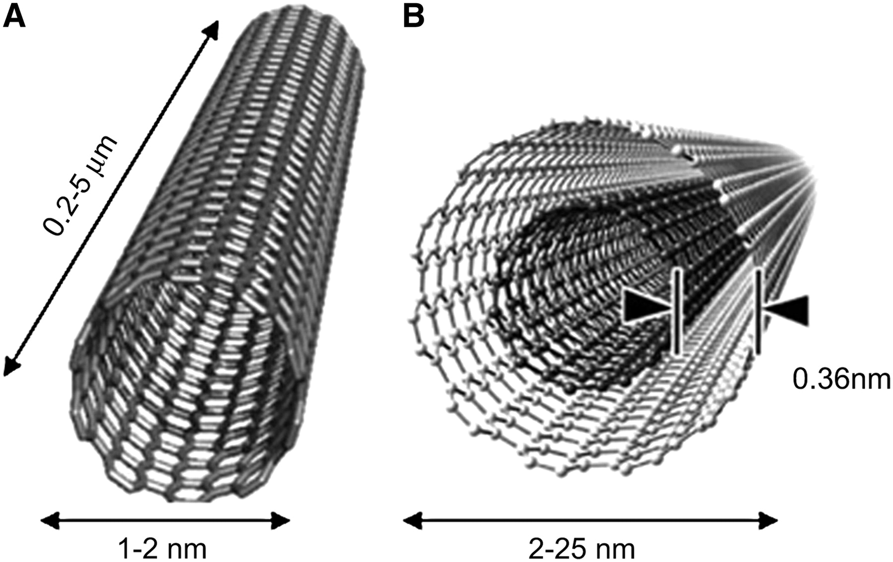 Carbon nanotubes NanoNews
