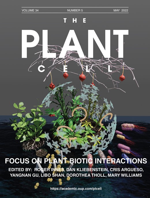 CSO publishes in Plant Cell NanoVation Therapeutics