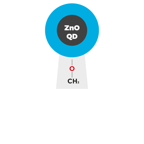 Zinc Oxide Quantum Dots (ZnO QDs) coated with metoxylate ligands NANOXO