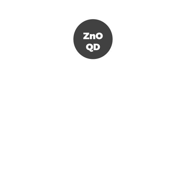 Zinc Oxide Quantum Dots (ZnO QDs) uncoated NANOXO