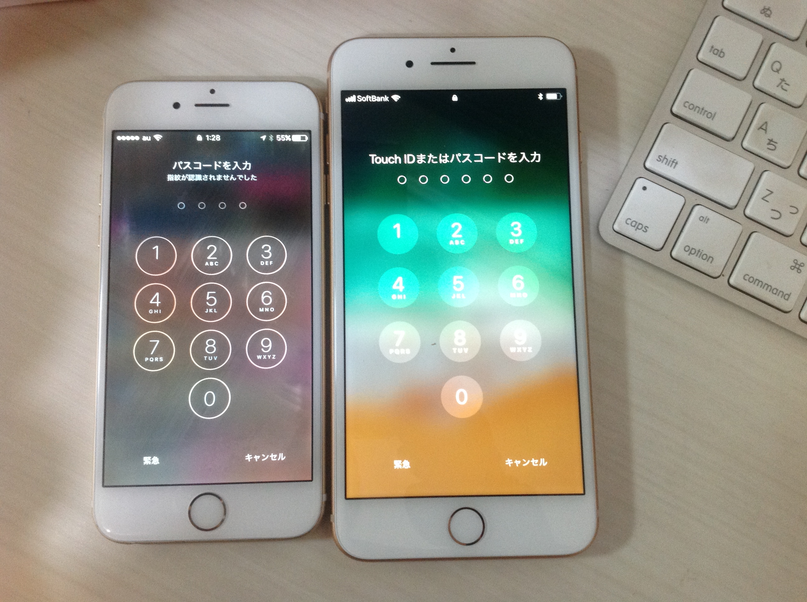 iPhoneを水没させて2・・・〜学んだこと〜 hidamari