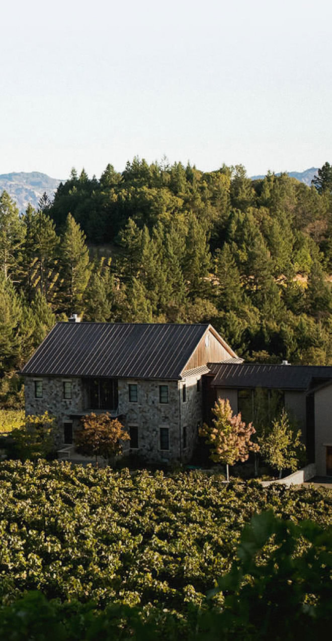 Barrel Auction Collective Napa Valley