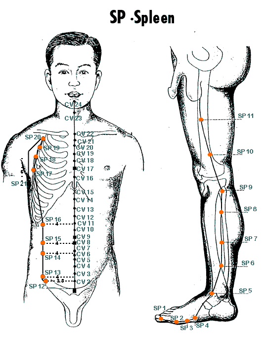 Napasha Way Essential Oils