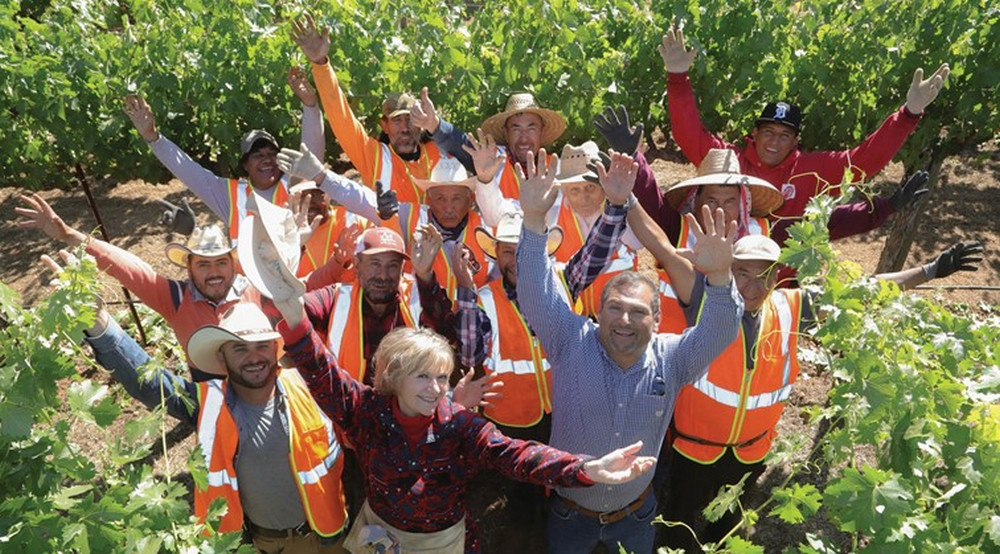 Tierra Roja Vineyard Napa Valley Life Magazine