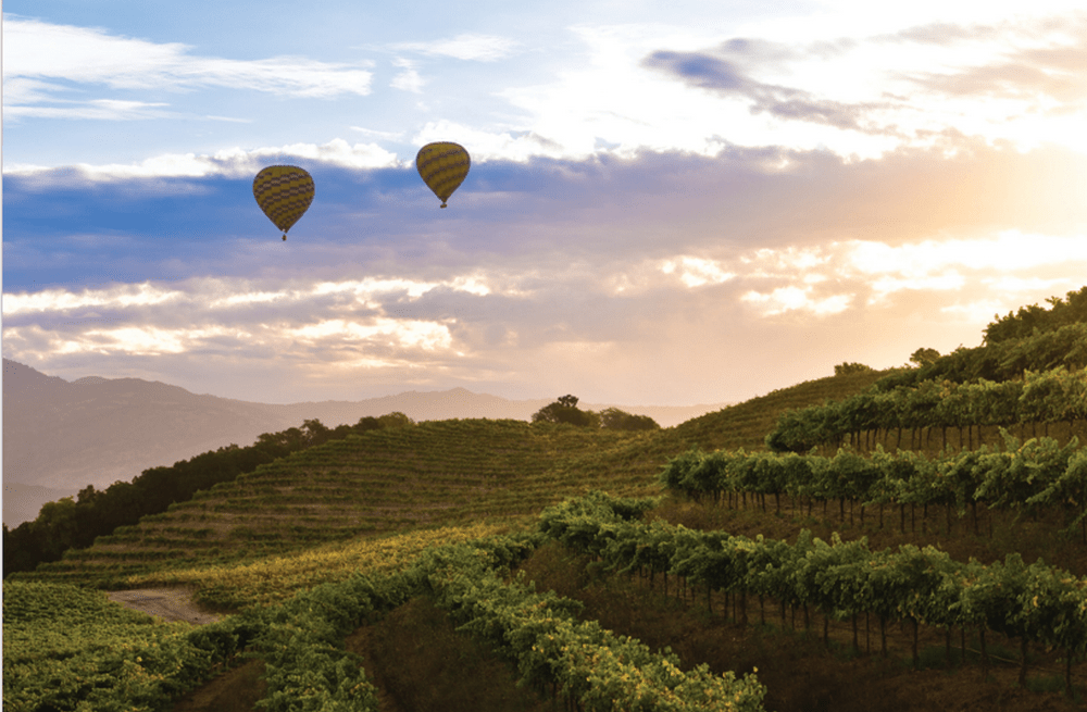 Yountville The Best of Napa in One Place Napa Valley Life Magazine