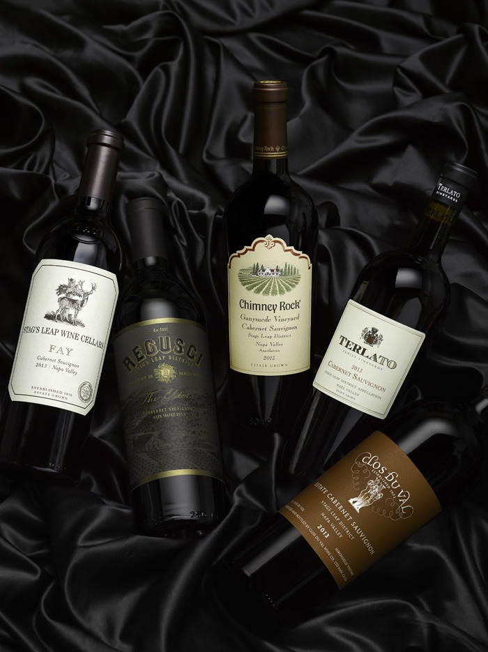 Give Stags Leap Tasting and Tour for Holidays Napa Wine Tours