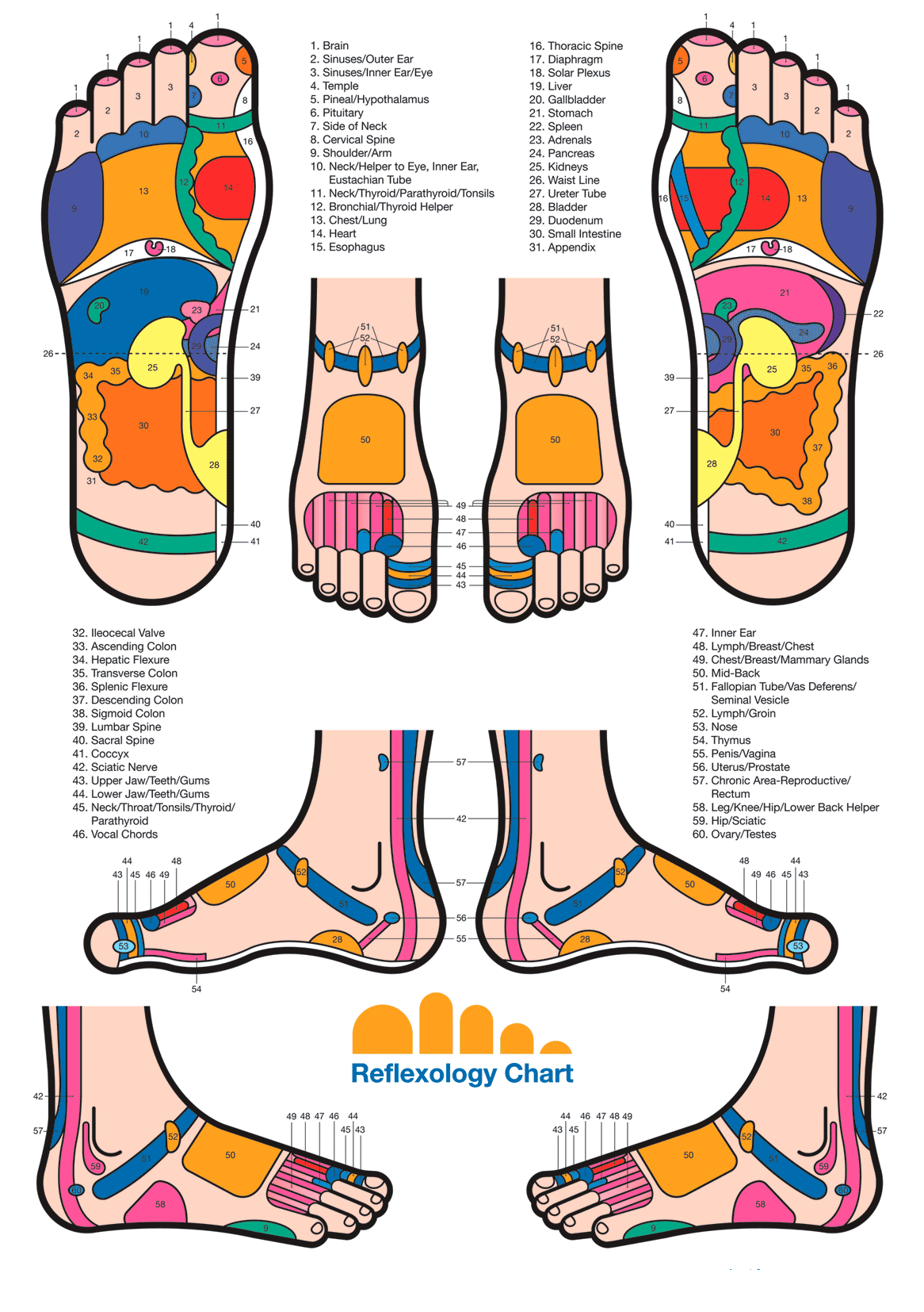 Nerve Pain Reflexology Foot Nerve Pain