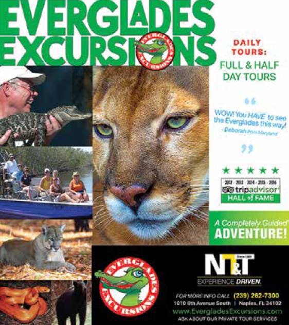 Map & Schedule Naples Trolley Tours HopOn HopOff Naples, FL