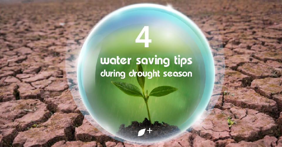 4 water saving tips during drought season NAP+