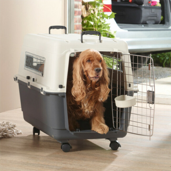 cage de transport avion NOMAD pour chien