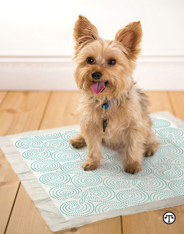 PETS & PEOPLE How To Housetrain Your Dog North American Precis Syndicate