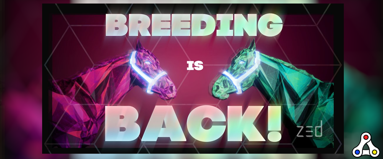 I bred 25 Zed Run Horses. Here’s what I’ve learned Naptown Stables