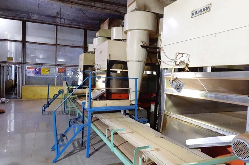 Tea Factories In India West Bengal Narendra Tea Company