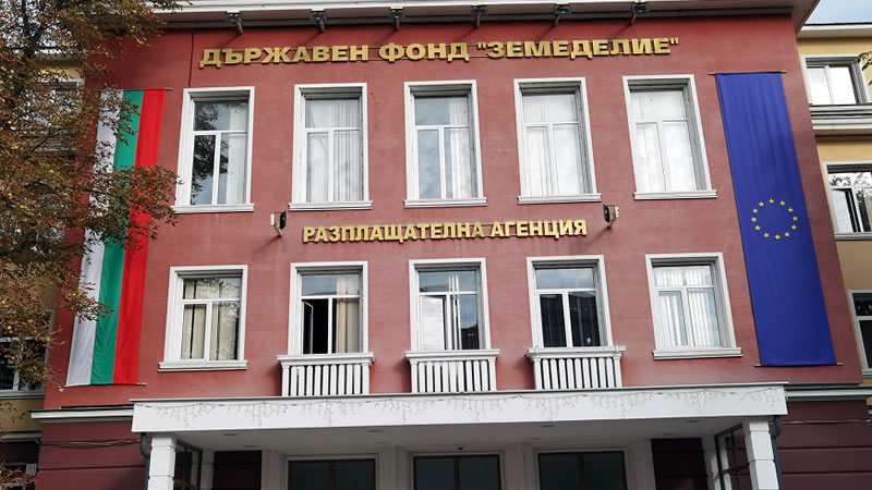 Ето как източват „касичката“ ДФЗ