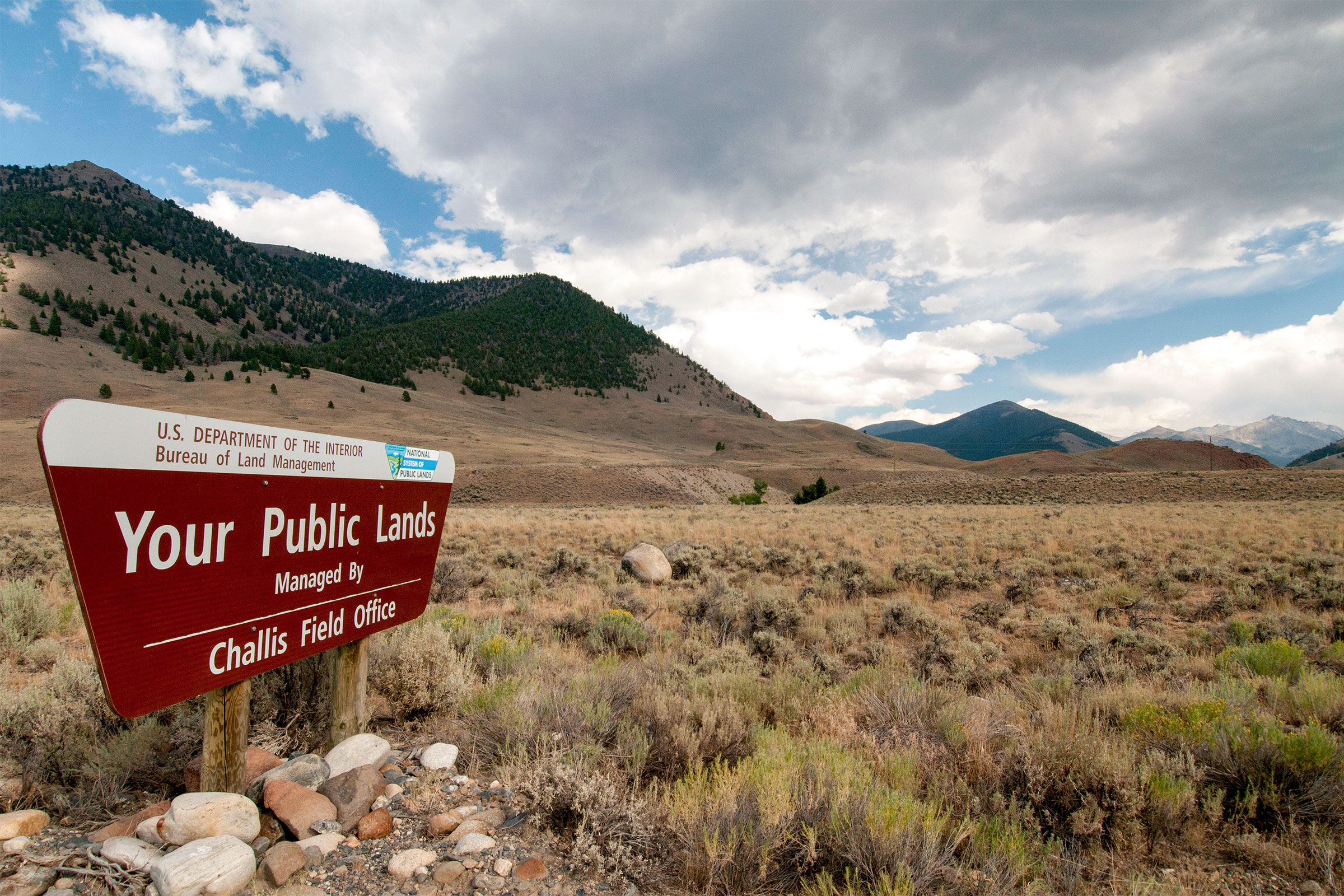 How to Put the Bureau of Land Management Back Together Again Audubon