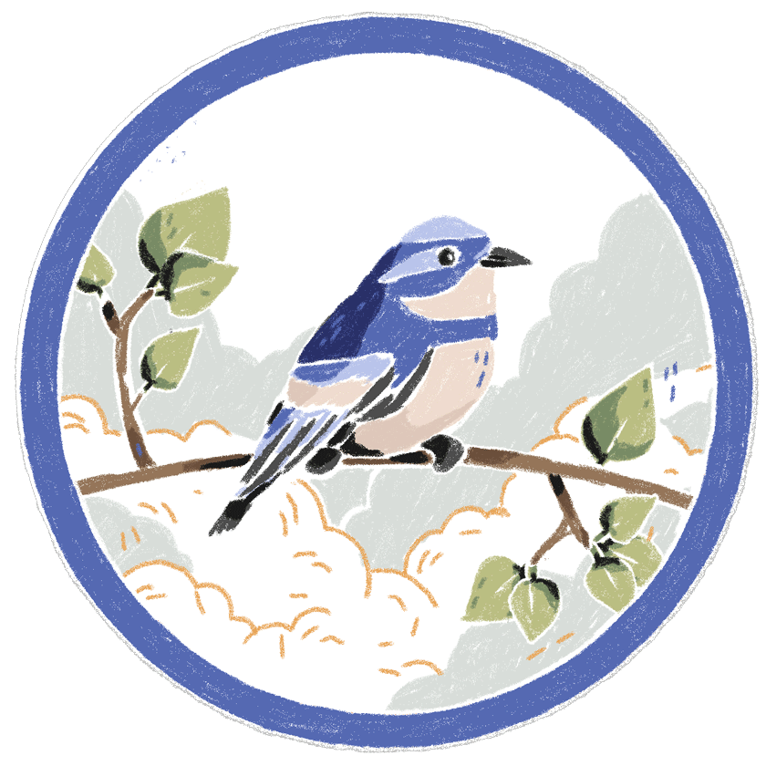 Your Climate Action Guide Audubon