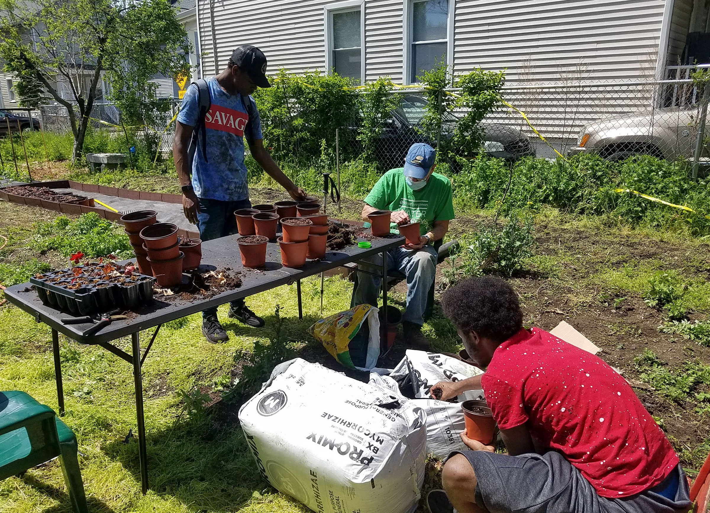 New Haven’s First Native Plant Nursery Sprouts with Audubon in Action