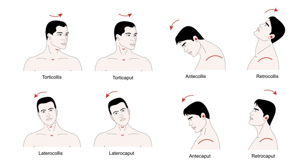 NASA Courses for doctors