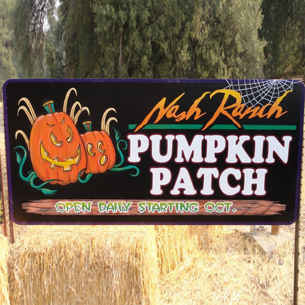 About Nash Ranch Pumpkin Patch, Redding California