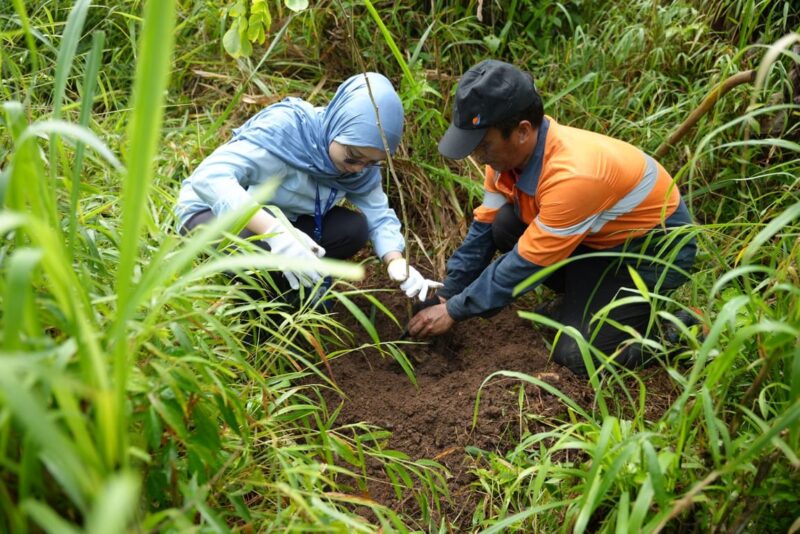 wsbp tanam pohon trembesi