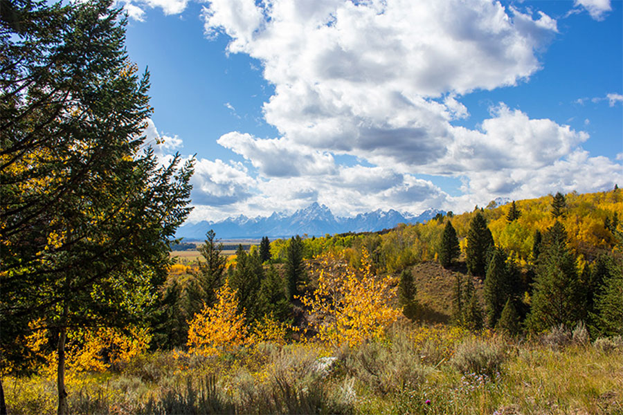 Fall in the Tetons NeVille Asbell Real Estate