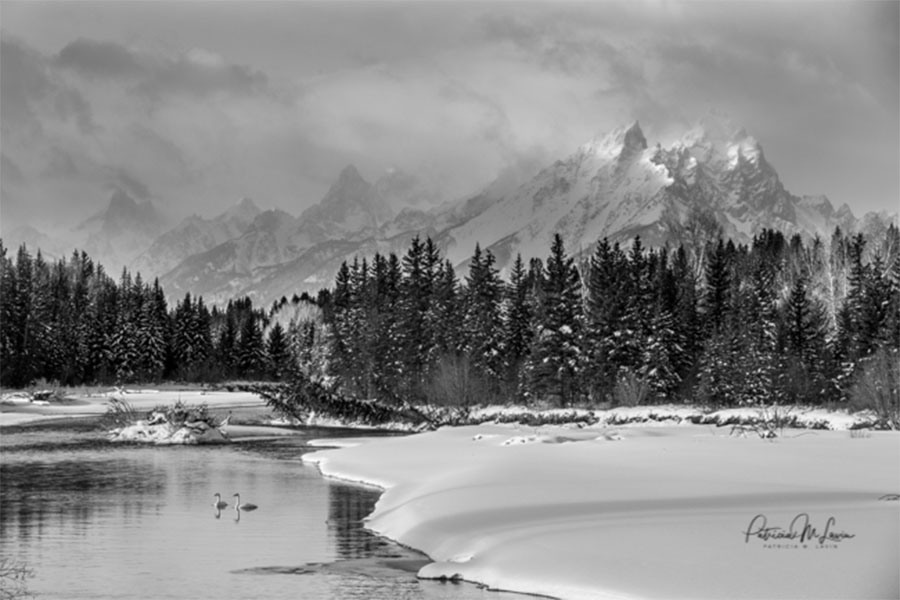 Moran, WY Where the Views are Grand and the Wildlife Roam NeVille
