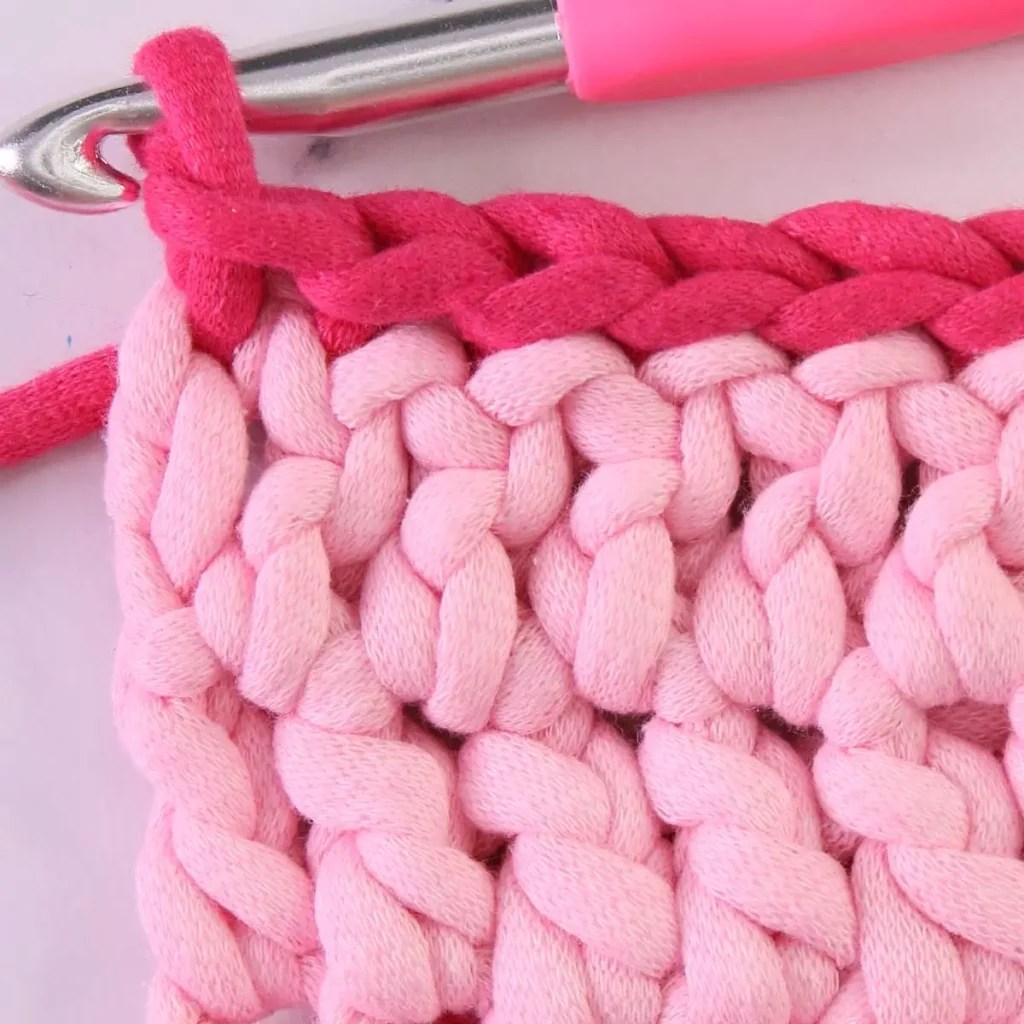 Complete Tutorial Guide to Crochet Back Loop Slip Back Stitch Nasty