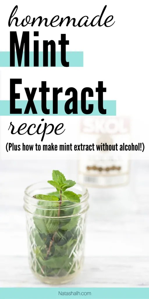 Homemade Mint Extract Recipe Easy, quck, & nonalcoholic versions! The Artisan Life