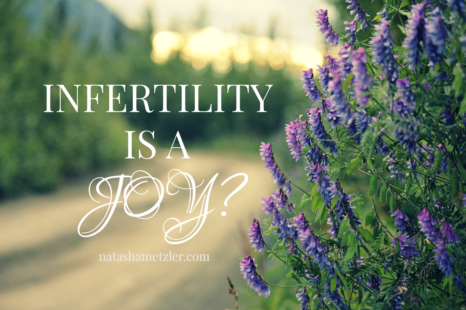Infertility Is A Joy Natasha Metzler