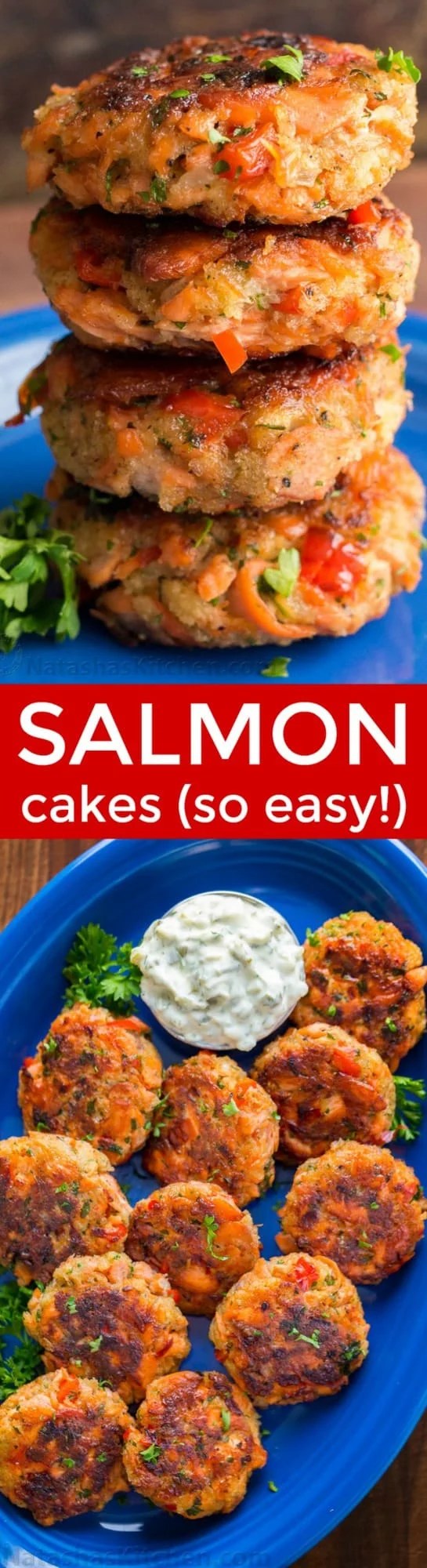 22 Of the Best Ideas for Salmon Cake Recipes Home, Family, Style and
