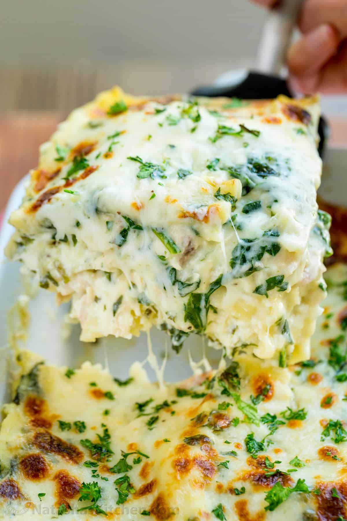 Chicken Lasagna Recipe (VIDEO)