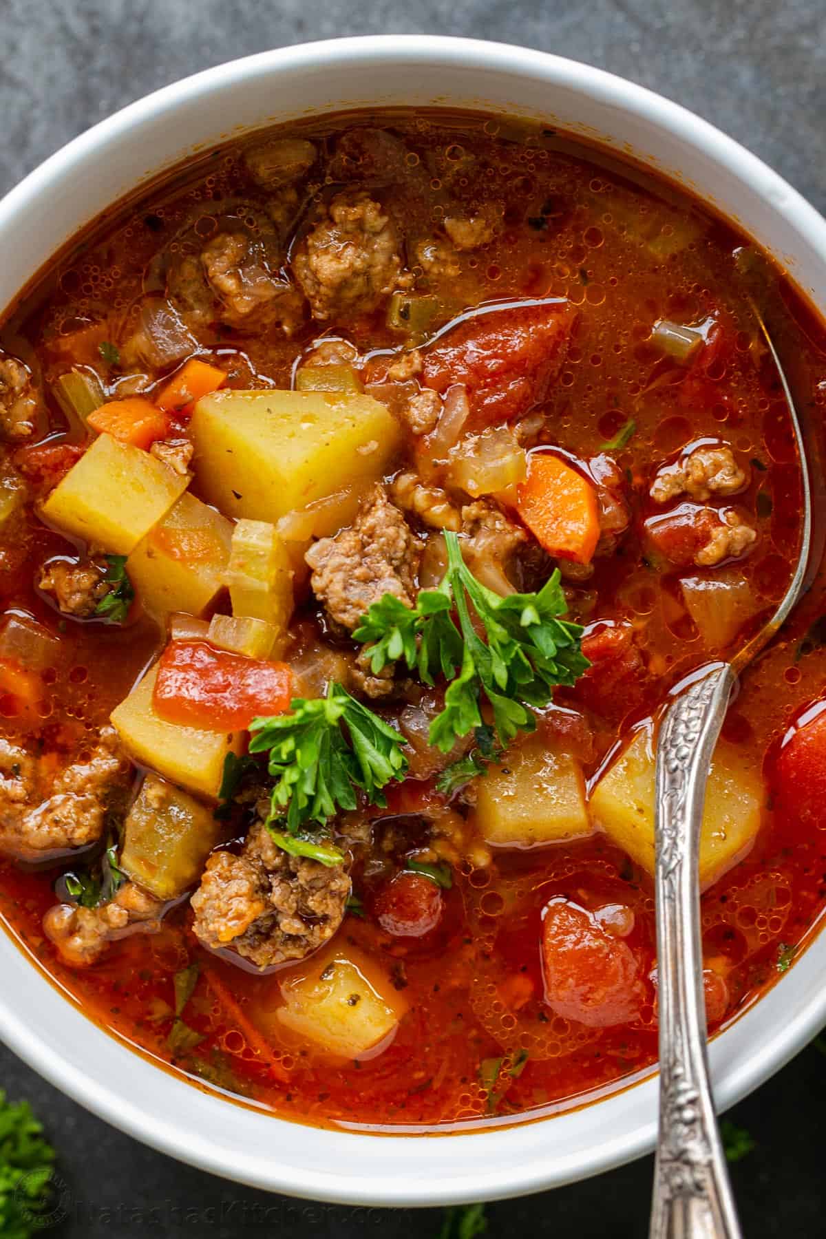 Hamburger Soup Recipe