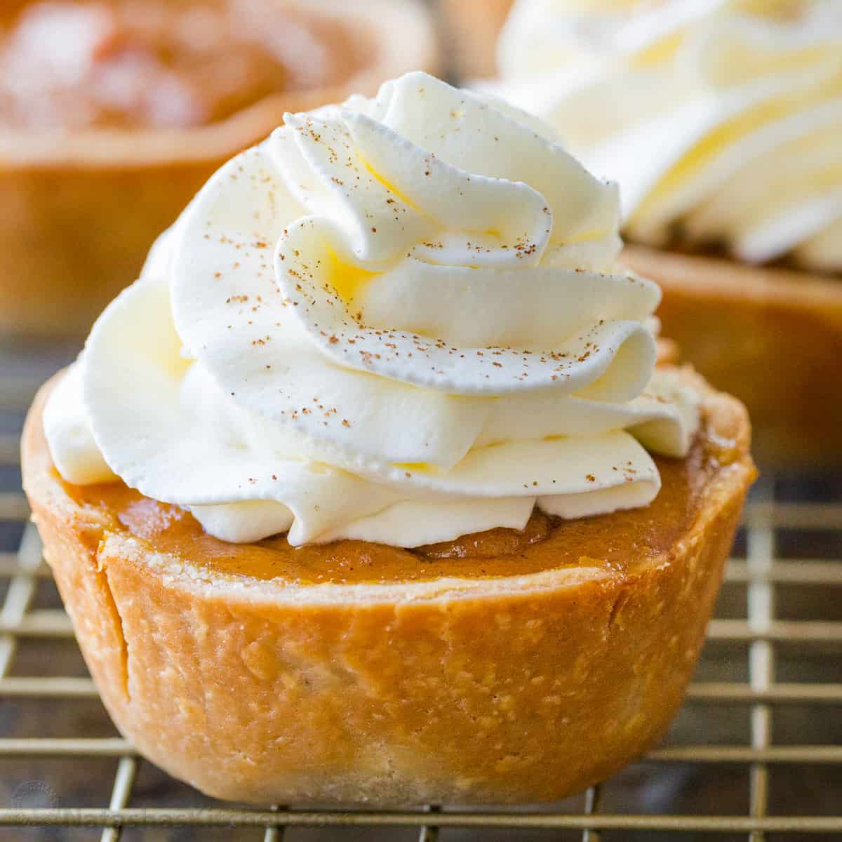 Mini Pumpkin Pies (VIDEO)