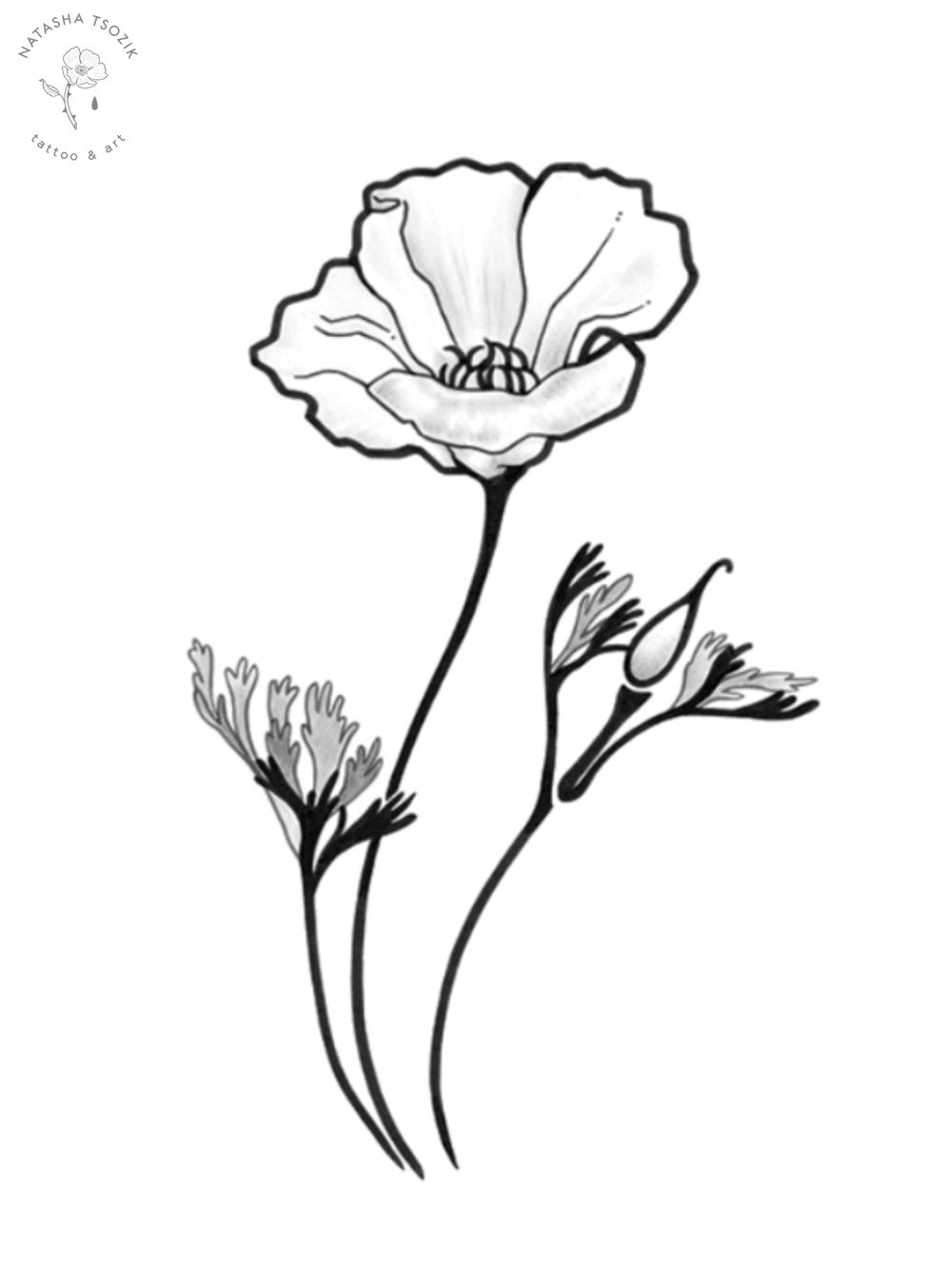 Poppy Flower Tattoo Drawing
