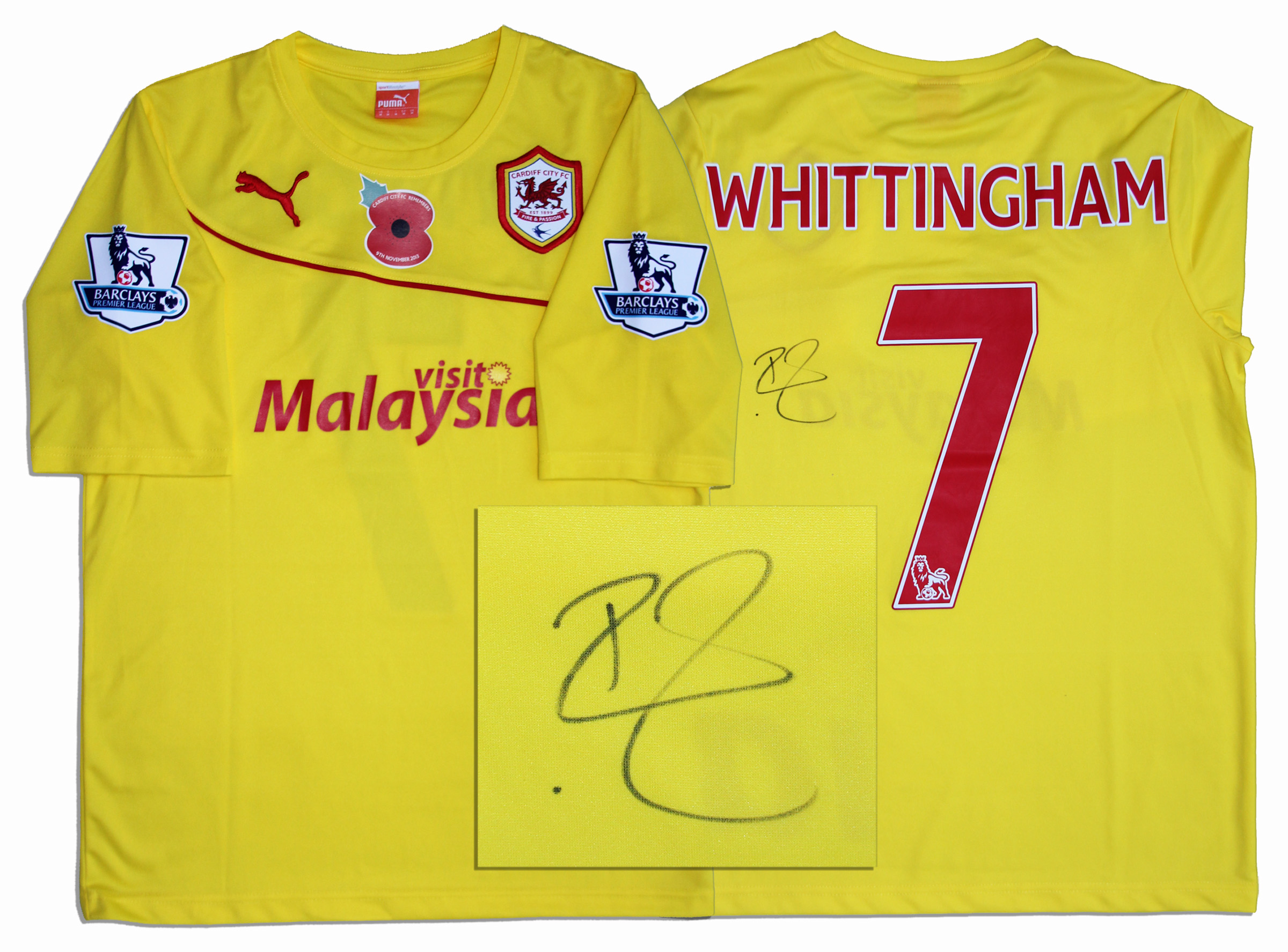 Lot Detail Peter Whittingham Match Worn Cardiff City Football Shirt