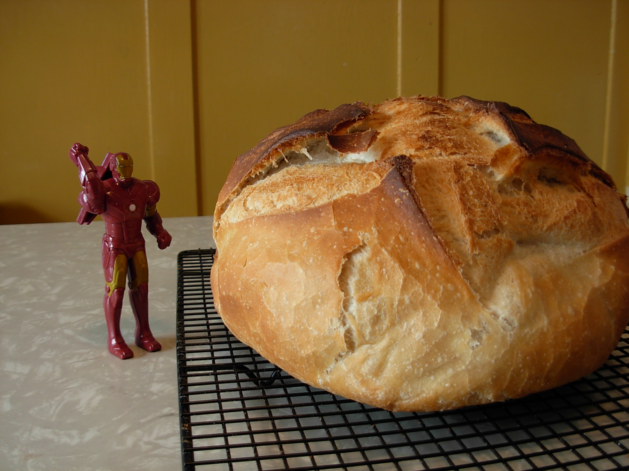 Nate Houge garage folk singer