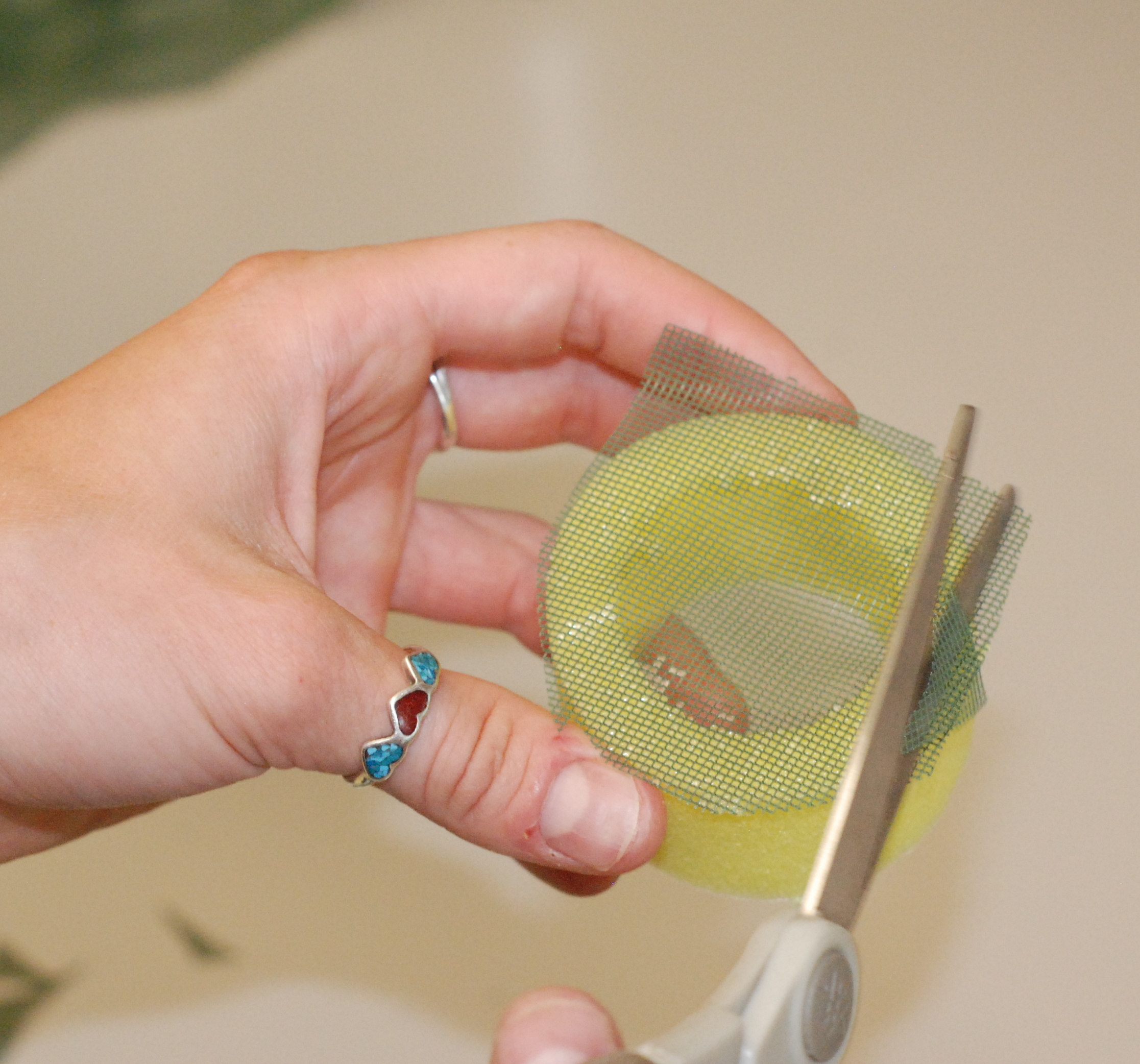 clip cage Nate Lemoine