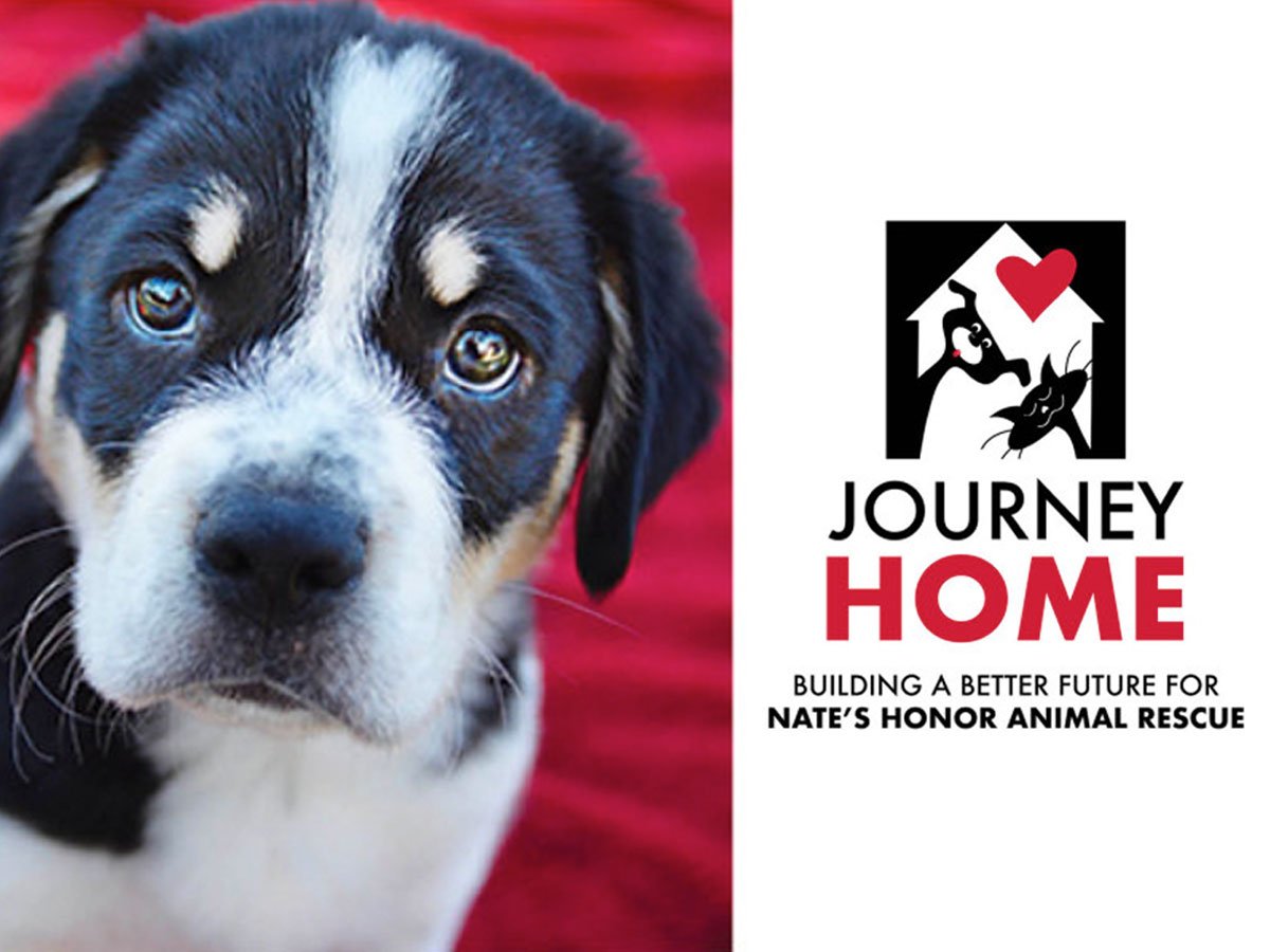 Press Room Nate's Honor Animal Rescue See What's New At Nate's