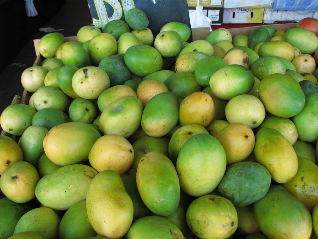 The Popular Types of Mangoes in The World Natgeos