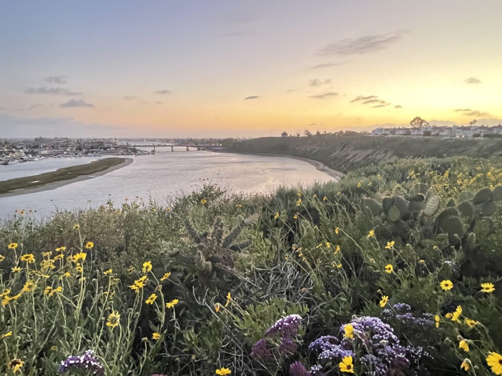 Cormac McCarthy has two new novels (This week in books) Nathan