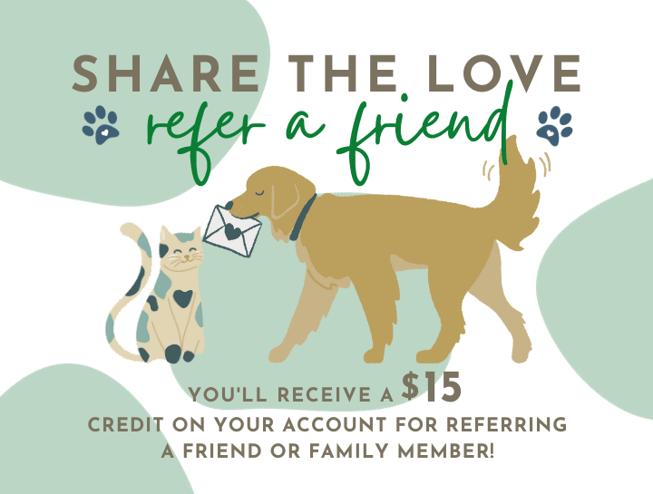 Home Naticook Veterinary Hospital Merrimack