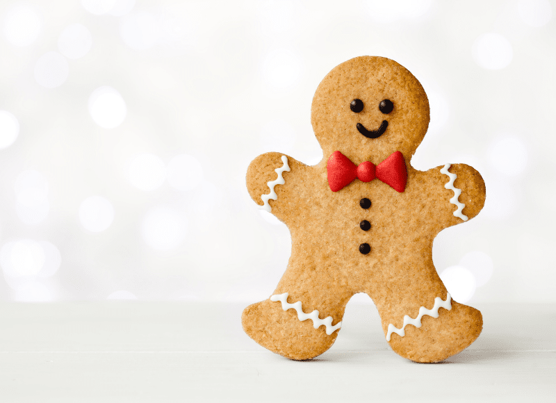 National Gingerbread Day • National Day Ideas
