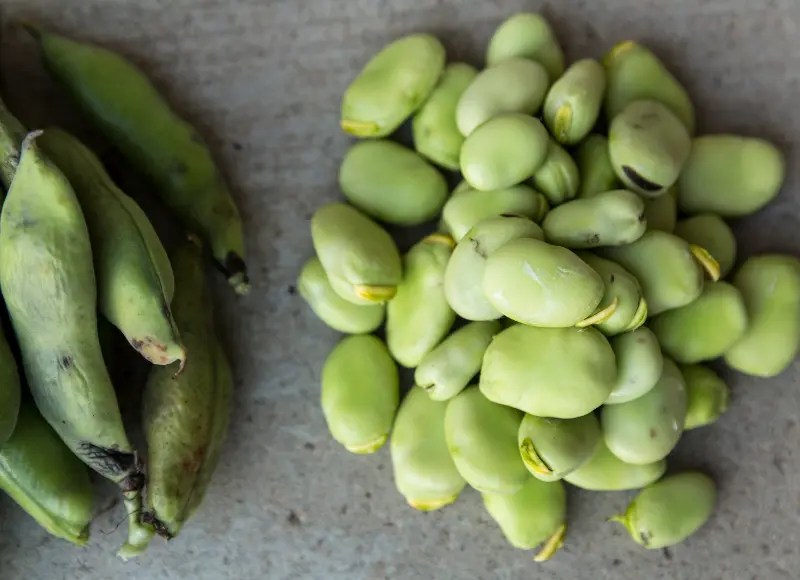 National Lima Bean Respect Day • National Day Ideas