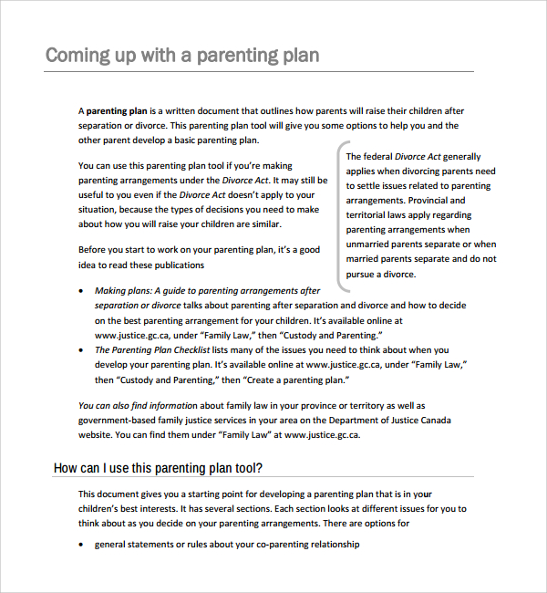 Parenting Plan Examples Template Business
