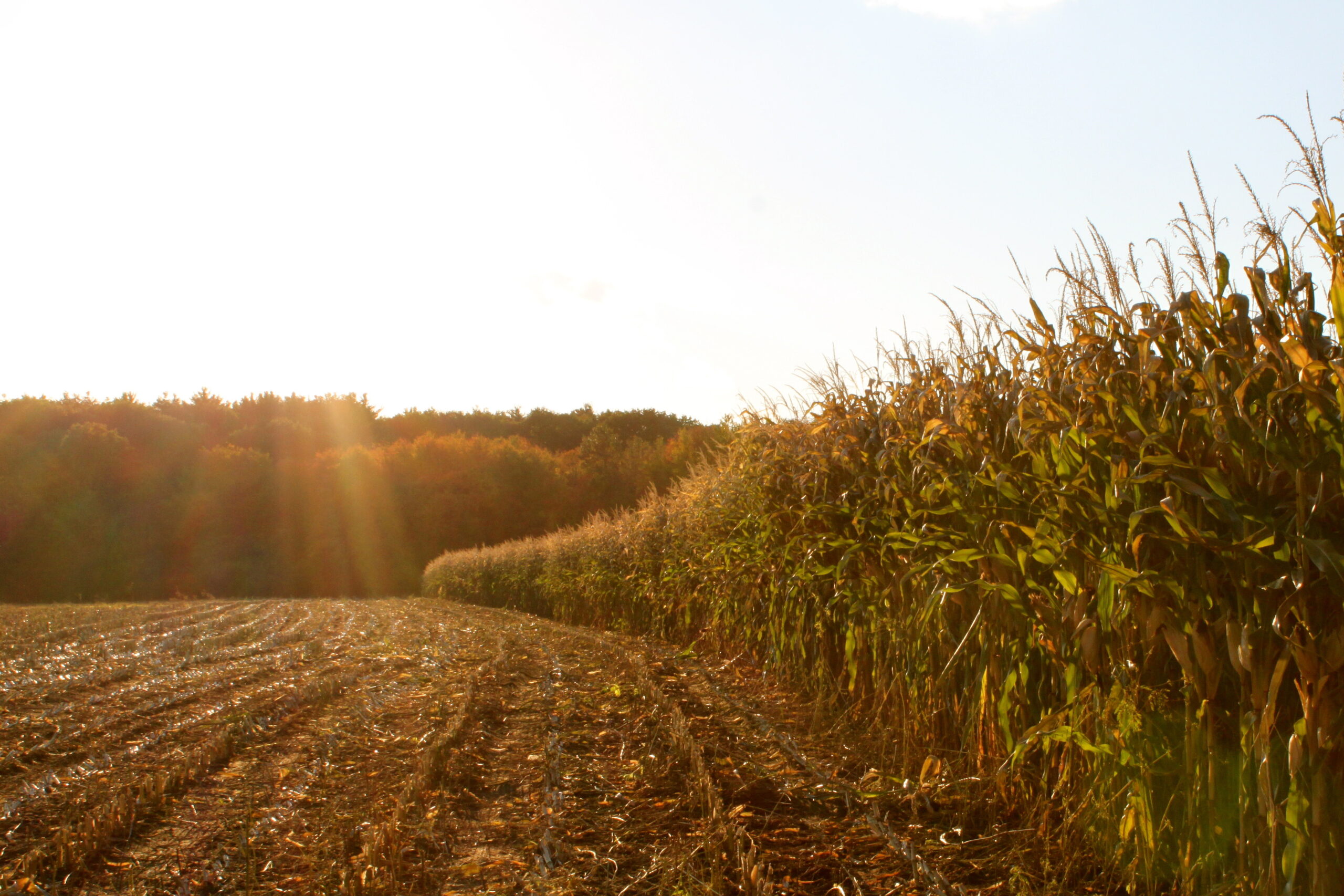 What is a 1031 Exchange? National Land Realty News