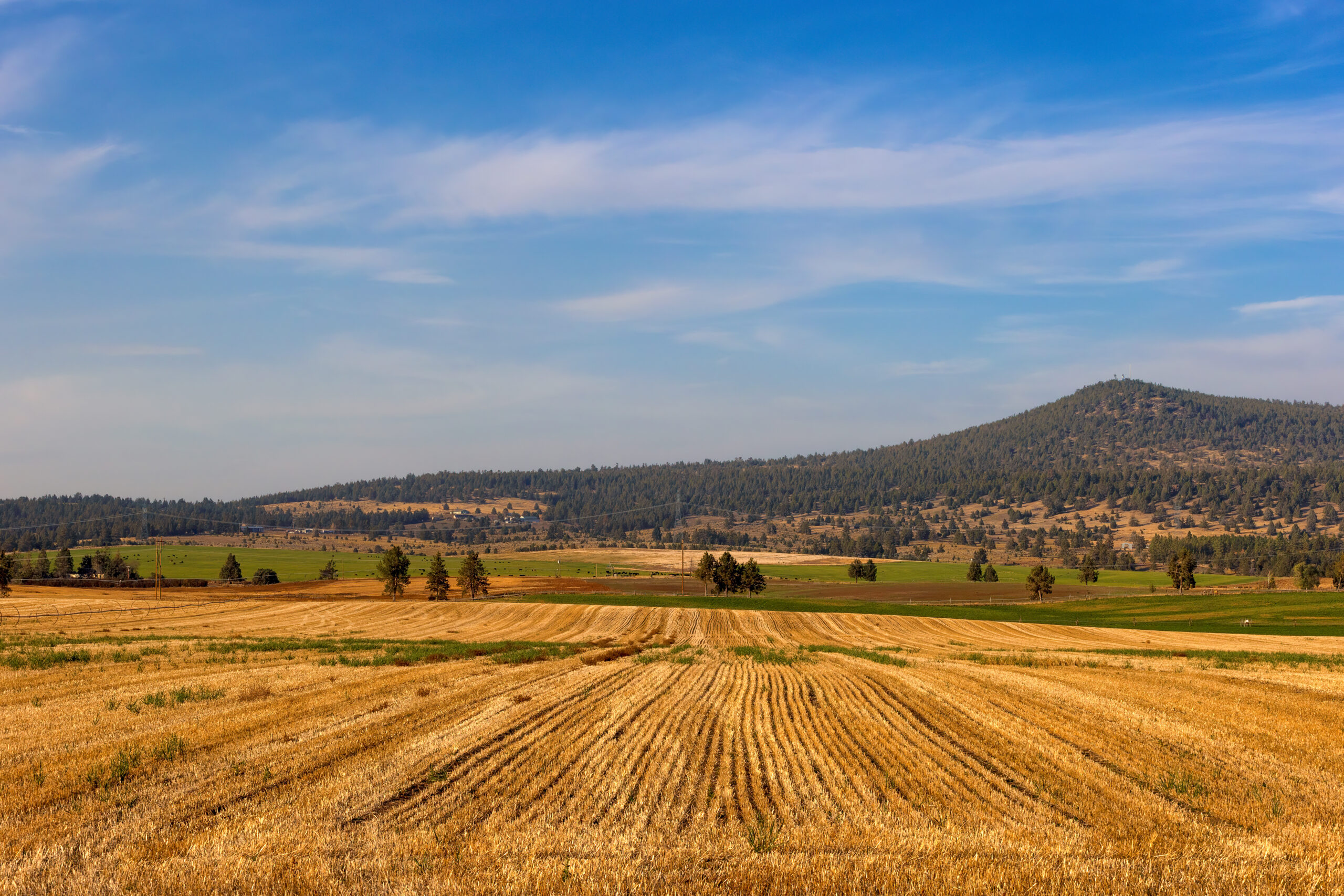 3 Tips for First-Time Land Buyers - National Land Realty News