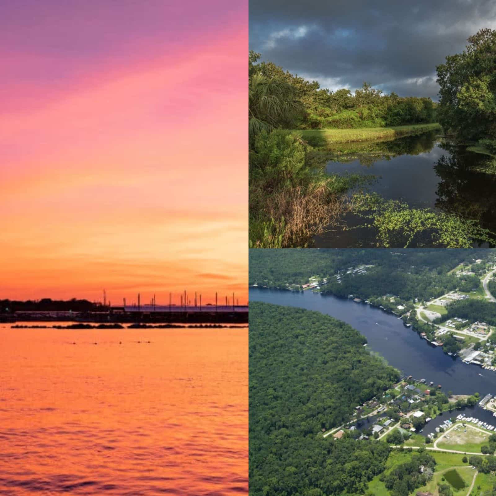 How Do Birds Eat? Here Is All We Need To Know