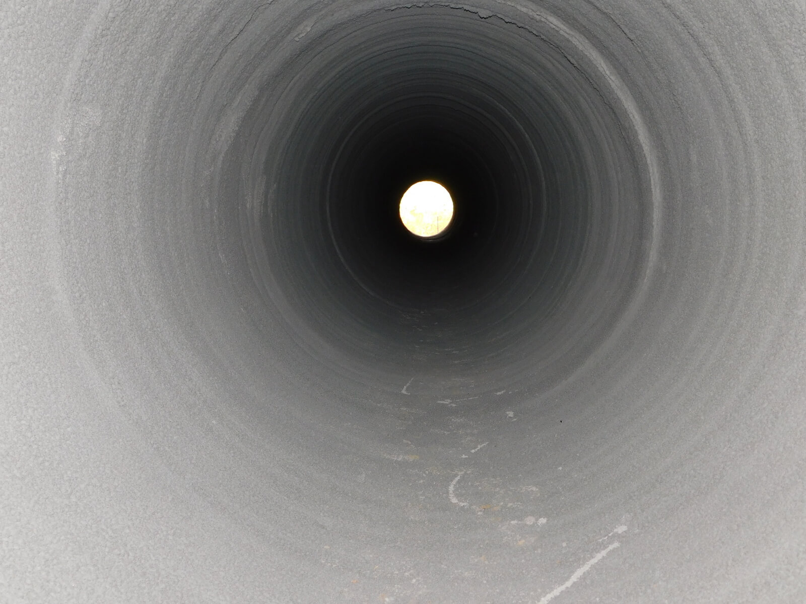 Spincasting National Plant