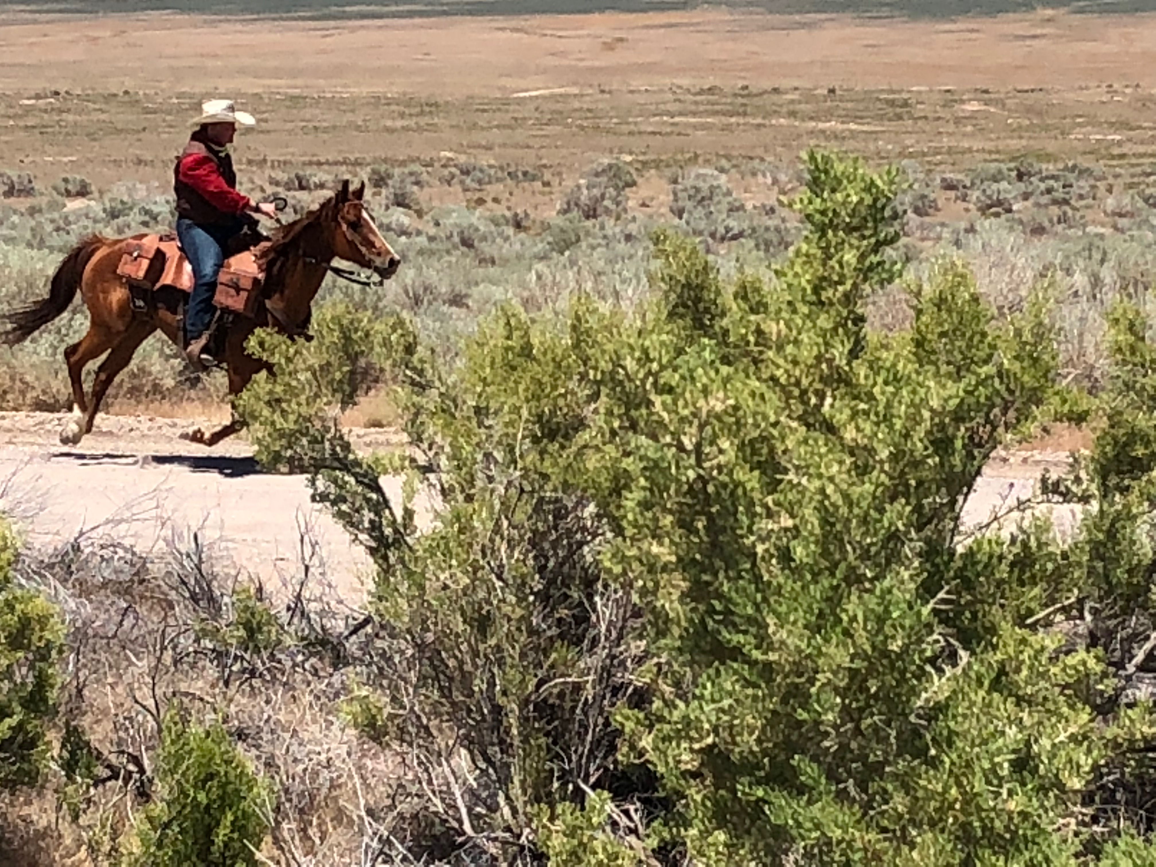 Utah National Pony Express Association