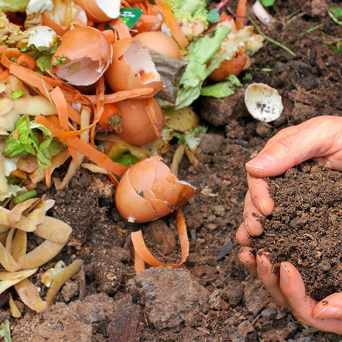 gratis compost 2023 Learn About Composting Day - May 29, 2023 - National Today